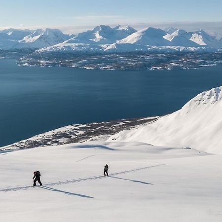 Olderdalen Lyngenfjord, Froyas Hus 빌라 외부 사진
